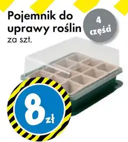 Tedi Pojemnik do uprawy roślin oferta