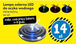 Tedi Lampa solarna LED do oczka wodnego różne kolory oferta