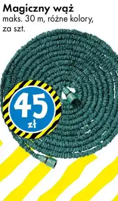 Tedi Magiczny wąż oferta