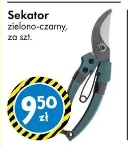 Tedi Sekator zielono-czarny oferta