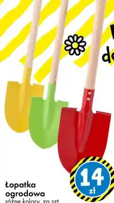 Tedi Łopatka ogrodowa oferta