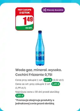 Dino Woda gazowana mineralna wysokonasycona Frizzante oferta