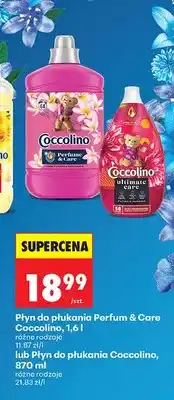 Biedronka Płyn do płukania Perfum & Care 1,6 l różne rodzaje oferta