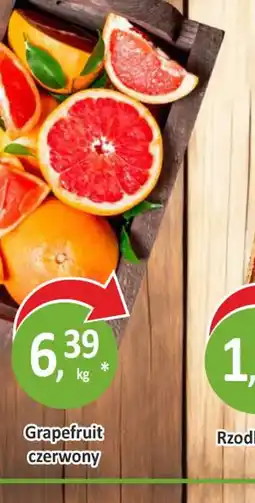 Passa Grejpfrut czerwony oferta