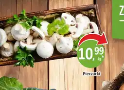 Passa Pieczarki oferta