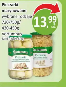 Passa Pieczarki marynowane Vortumnus oferta