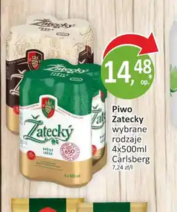 Passa Piwo Zatecky oferta