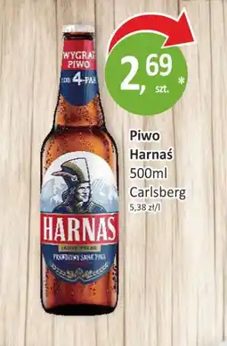 Passa Piwo Harnaś oferta