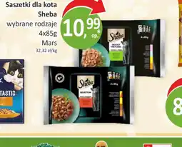 Passa Saszetki dla kota Sheba oferta