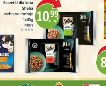 Saszetki dla kota Sheba