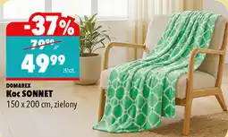 Biedronka Koc SONNET 150 x 200 cm, zielony oferta
