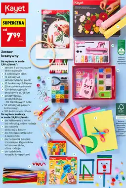 Biedronka Zestaw kreatywny, różne rodzaje oferta