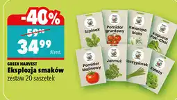 Biedronka Eksplozja smaków zestaw 20 saszetek oferta