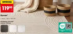 Biedronka Dywan oferta