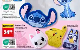 Biedronka Poduszka dekoracyjna oferta