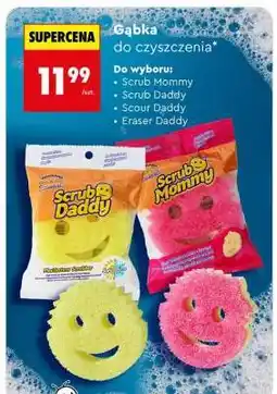 Biedronka Gąbka do czyszczenia oferta