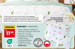 Biedronka Poduszka z nadrukiem oferta