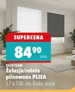 Biedronka Żaluzja/roleta plisowana PLISA oferta