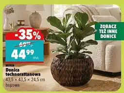 Biedronka Donica technorattanowa oferta