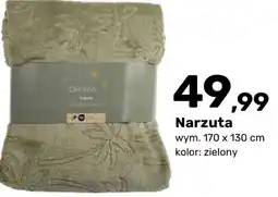Bricomarche Narzuta oferta