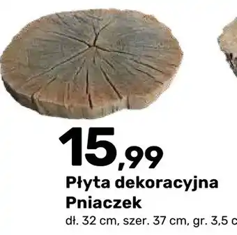 Płyta dekoracyjna Pniaczek