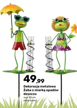 Bricomarche Dekoracja metalowa Żaba z miarką opadów deszczu oferta
