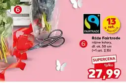 Kaufland Róże Fairtrade różne kolory oferta