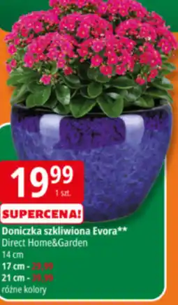 E.Leclerc Doniczka Home garden oferta