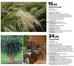 Bricomarche Trawa Vertigo oferta