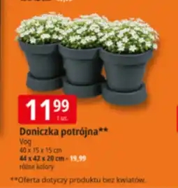 E.Leclerc Doniczka VOG oferta