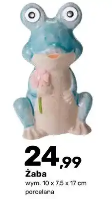 Bricomarche Figurka ogrodowa solarna Żaba oferta