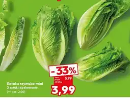 Kaufland Sałata rzymska mini oferta