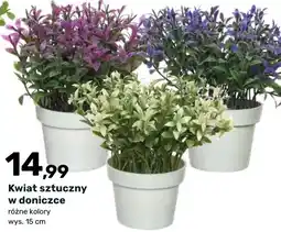 Bricomarche Kwiat sztuczny w doniczce oferta