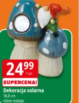 E.Leclerc Dekoracja Larna oferta