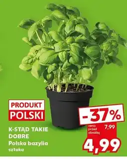 Kaufland Bazylia polska sztuka oferta