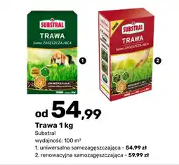 Bricomarche Trawa 1 kg renowacyjna samozagęszczająca oferta