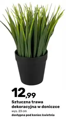 Bricomarche Sztuczna trawa dekoracyjna w doniczce oferta