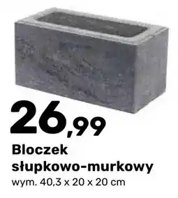 Bricomarche Bloczek słupkowo-murkowy San oferta