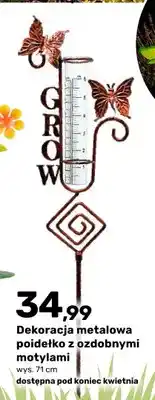 Bricomarche Dekoracja metalowa poidelko z ozdobnymi motylami oferta