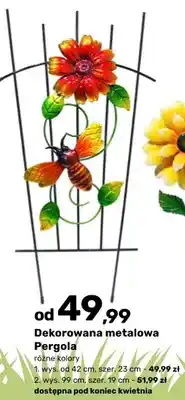 Bricomarche Dekoracja metalowa Pergola oferta