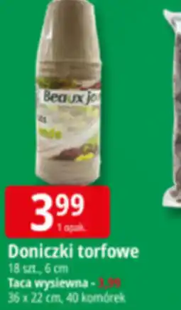 E.Leclerc Doniczka C&A oferta