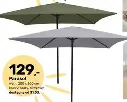 Bricomarche Parasol oferta