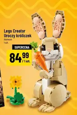Polomarket Creator Uroczy króliczek oferta