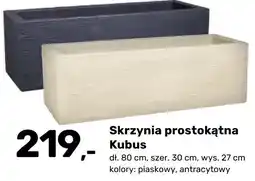 Bricomarche Skrzynia prostokątna Kubus oferta