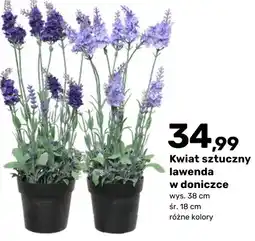 Bricomarche Kwiat sztuczny lawenda w doniczce oferta