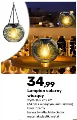 Bricomarche Lampion solarny wiszący oferta