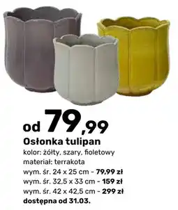 Bricomarche Osłonka tulipan żółta oferta