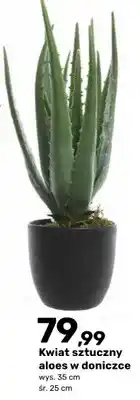Bricomarche Kwiat sztuczny aloes w doniczce oferta