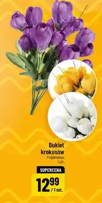 Polomarket Bukiet krokusów oferta