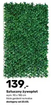 Bricomarche Sztuczny żywopłot oferta